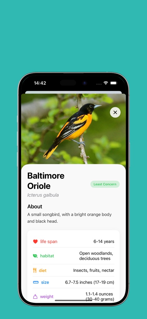 Animal AI - animal identifier - App de Estilo de vida | MWM