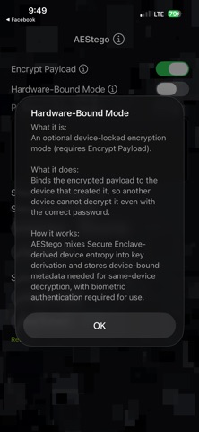 AEStego screenshot