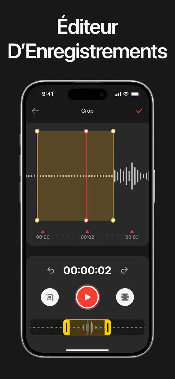 Screenshot #3 pour Dictaphone pour Notes Vocales