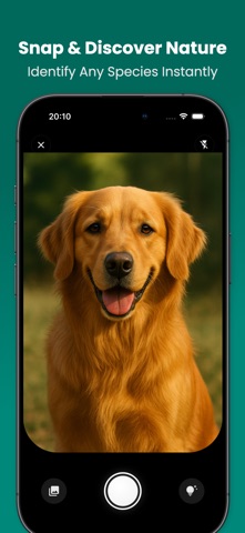 Animal Identifier: FaunaID iPhone screenshot