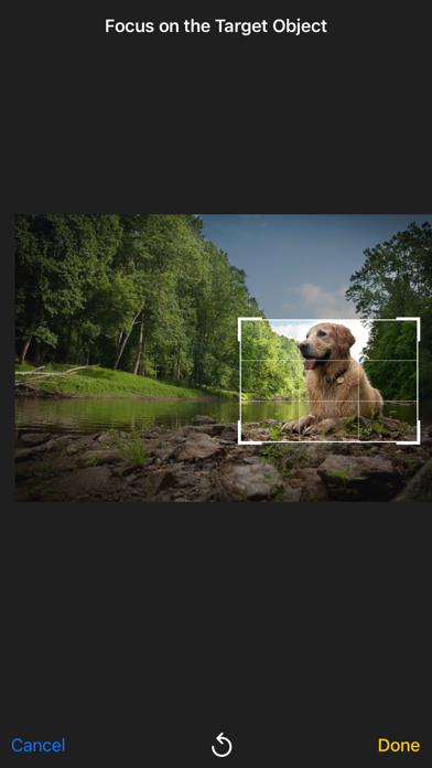 Dog AI identifier Screenshot