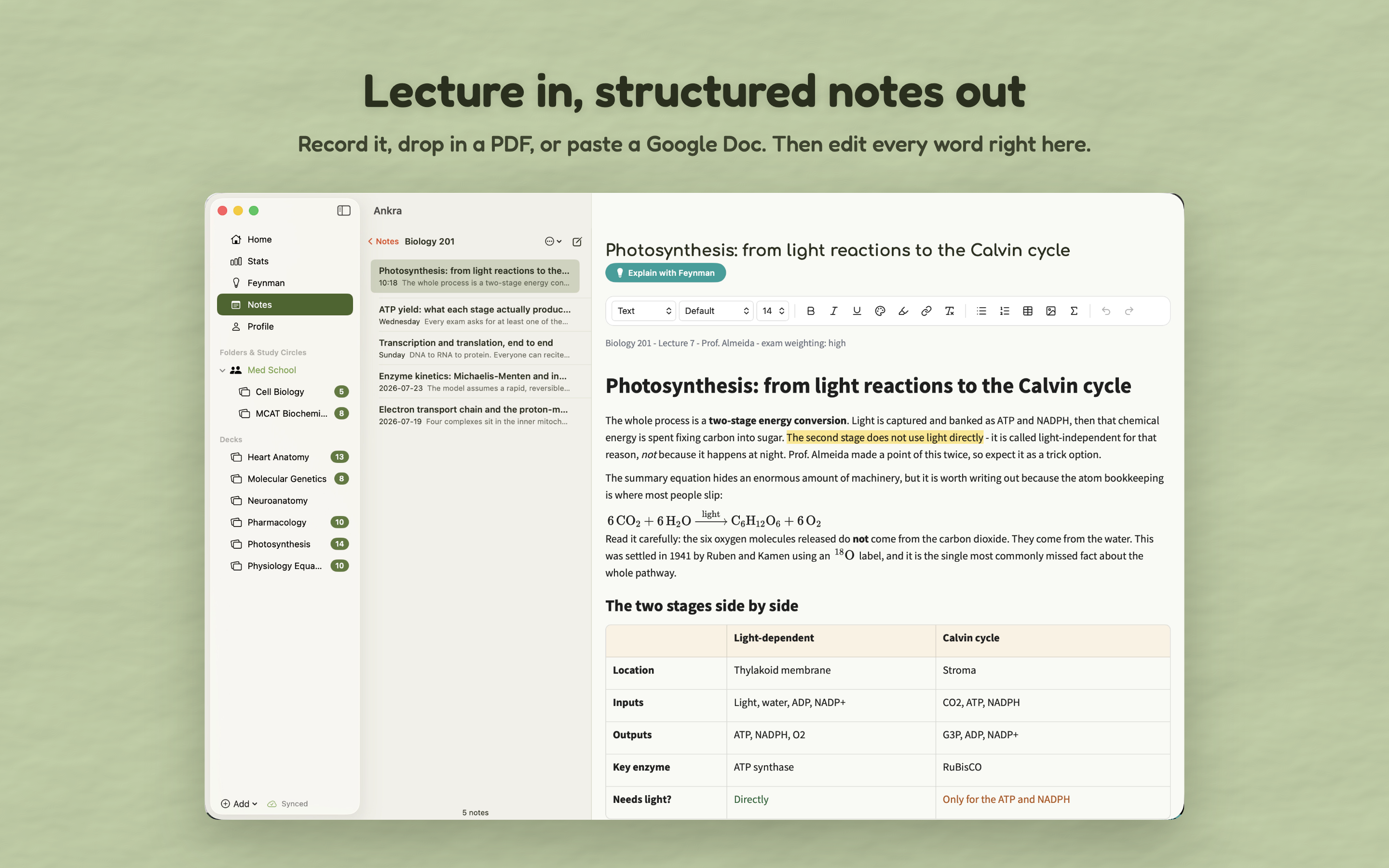 Ankra: AI Notes & Flashcards screenshot 19