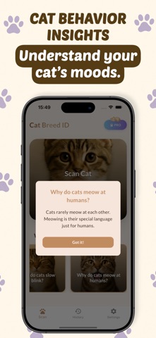 Cat Breed Identify iPhone screenshot