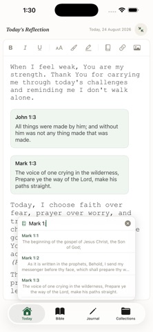 Bible Journals app screenshot 2