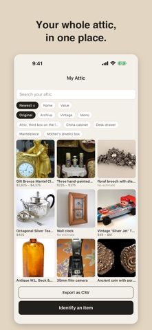 Attic: How Much Is It Worth Screenshot 4 of 5