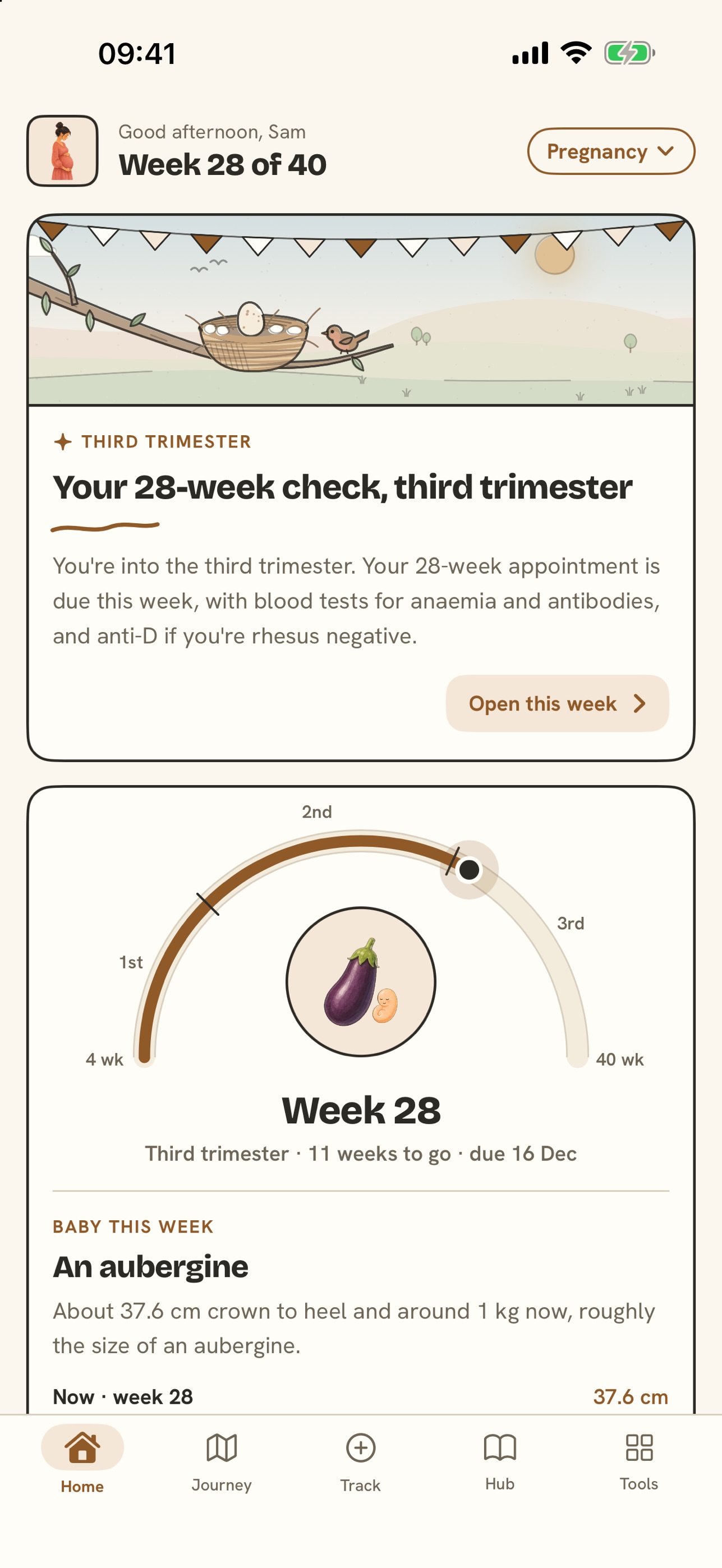 Screenshot 5 of Nido Parenting