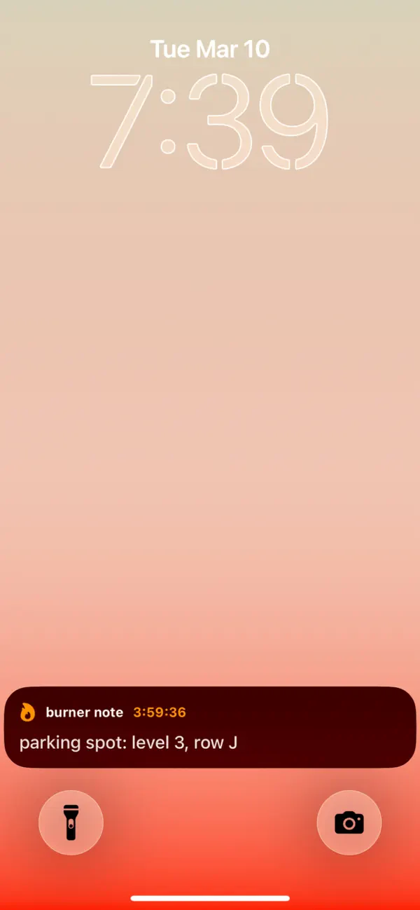 Screenshot #3 pour burner notes