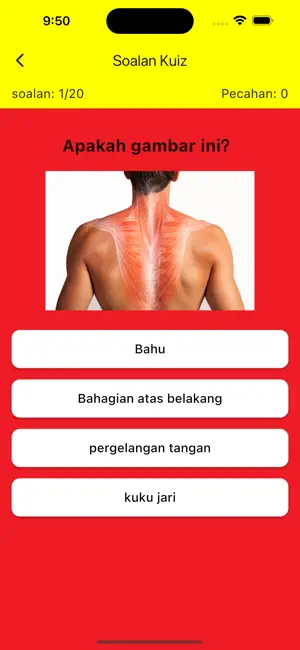 Learning Malay Body Parts screenshot 3