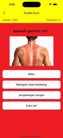 Learning Malay Body Parts Screenshot 3 of 6