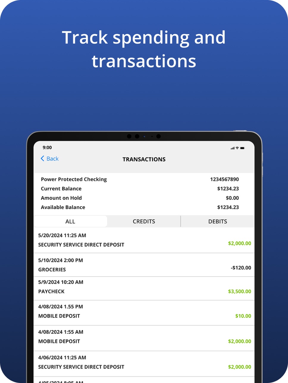 iPad screenshot
