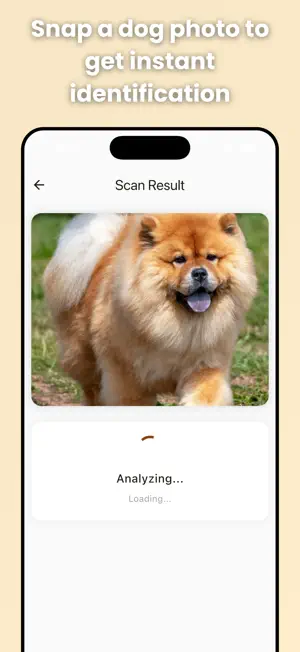 Dog Breed Identifier – AI Scan screenshot 3
