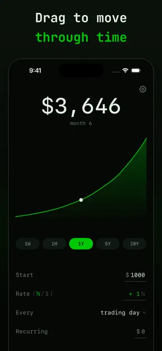 Hypothetically: ROI Calculator screenshot 2