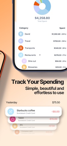 Captura 2 de Ciento: AI Budget & Expenses