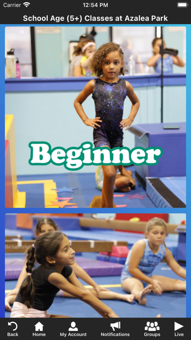 Reflex Gymnastics Screenshot