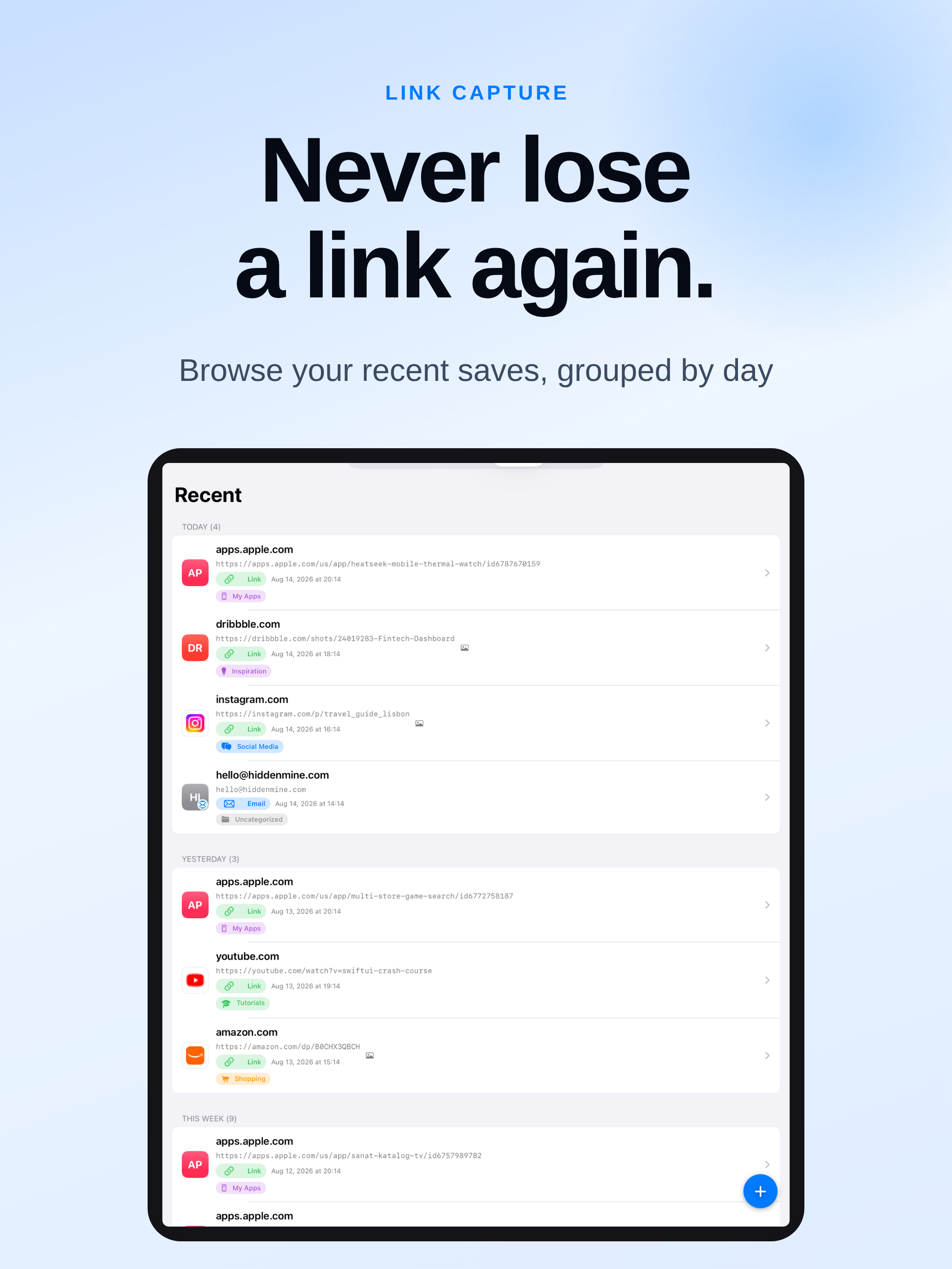 Link Capture screenshot 8