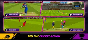 Epic Cricket - Real 3D Game screenshot 1