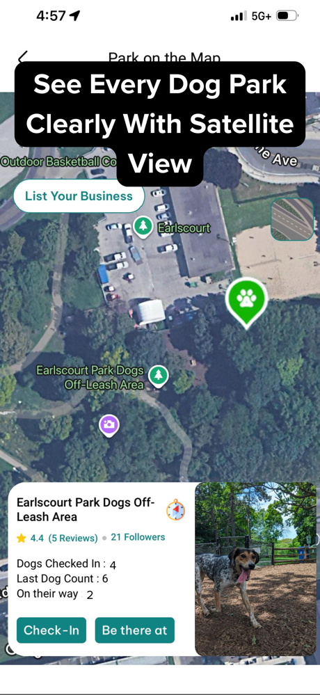 DogPack: Dog Friendly Spots screenshot 10
