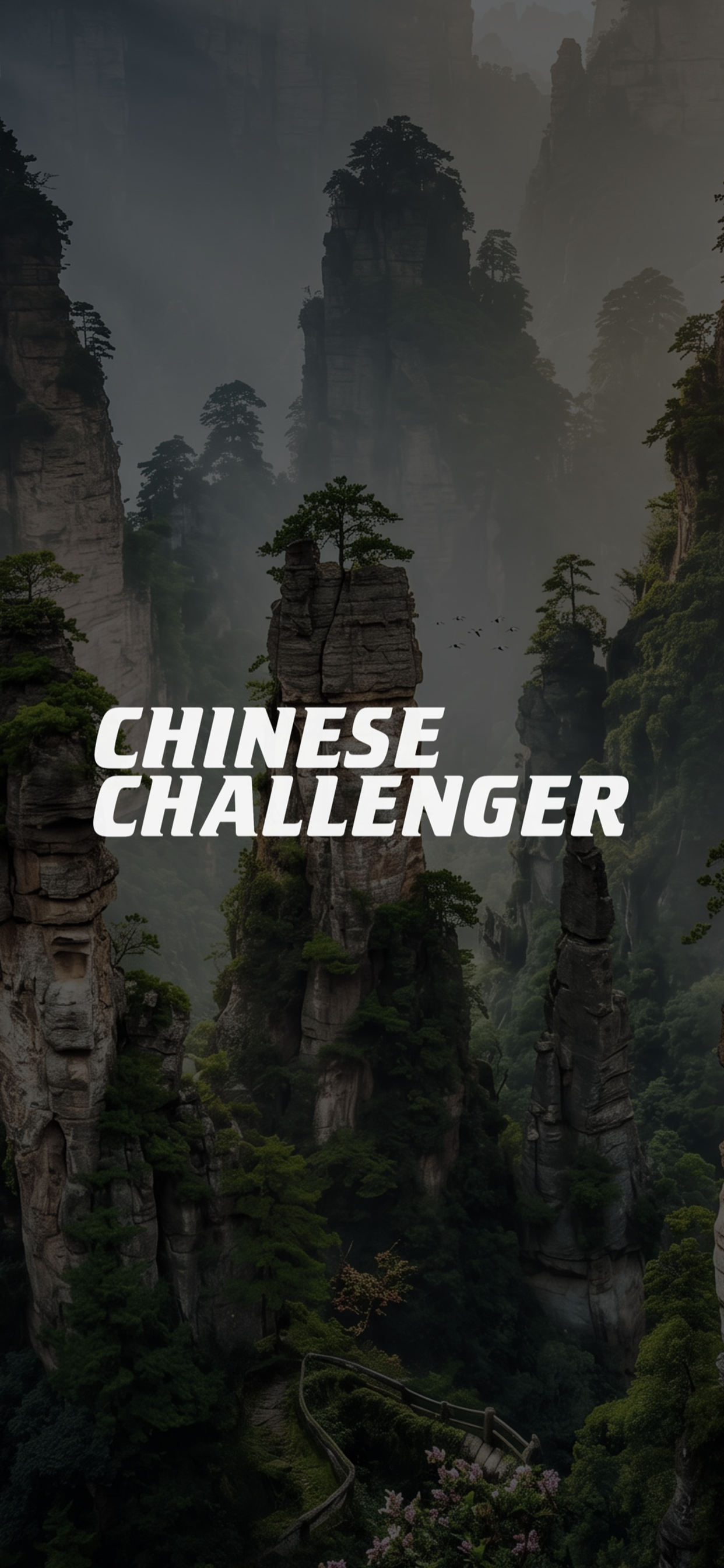 Chinese Challenger screenshot 4