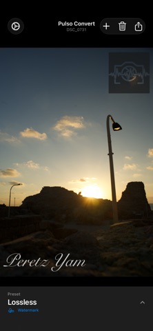 Pulso Convert: RAW Converter screenshot