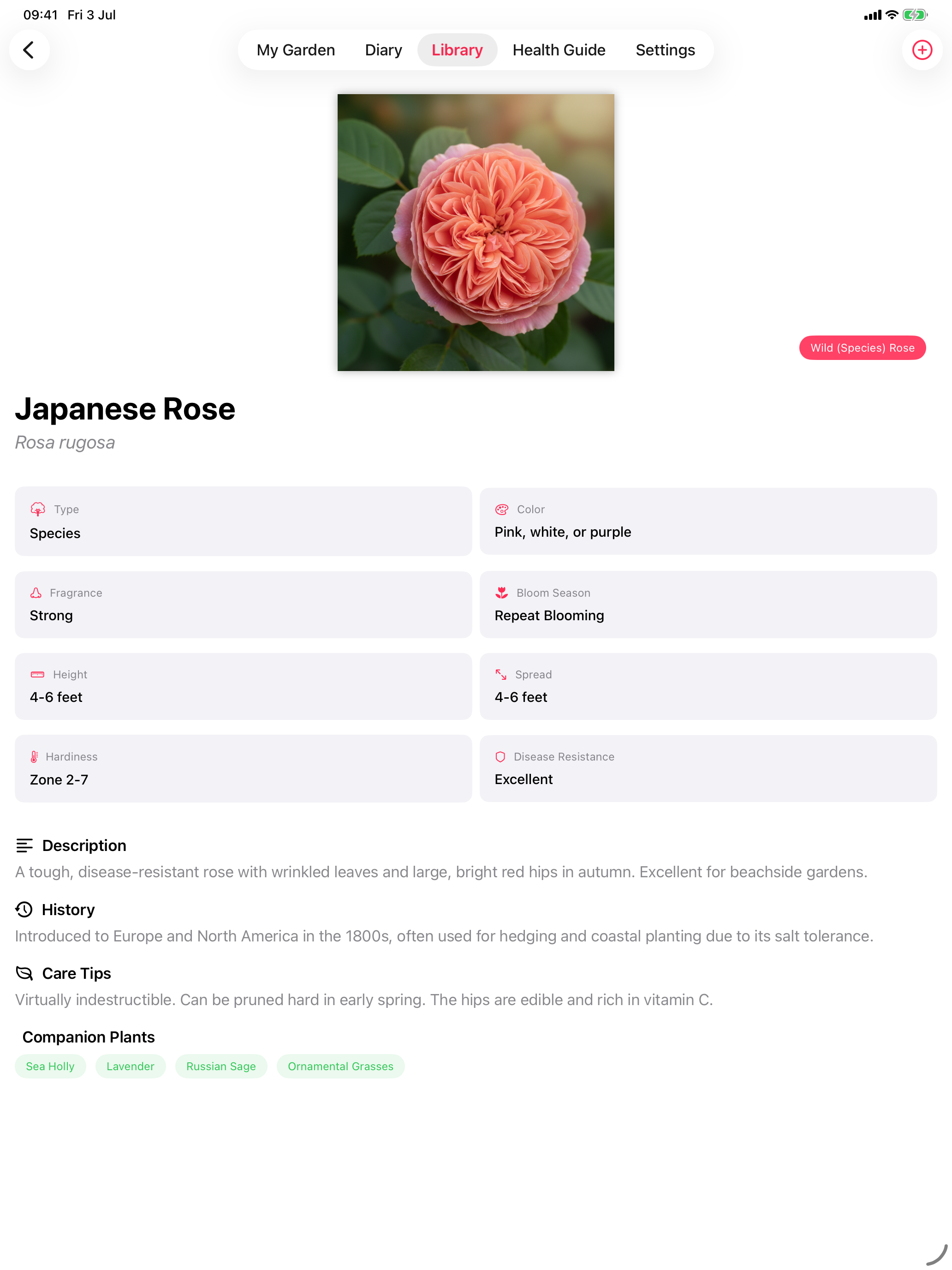 RoseGarden screenshot 11