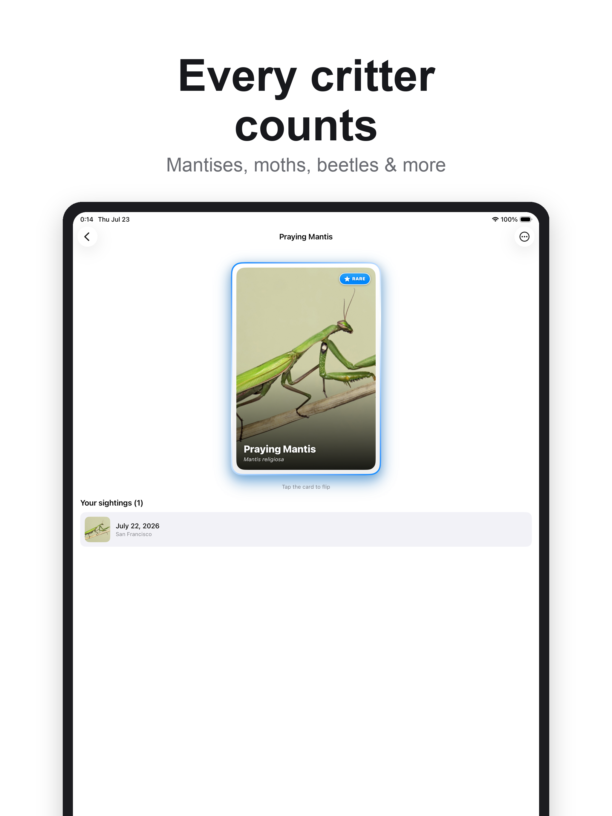 Insect Collector: Bugs Hunter screenshot 13