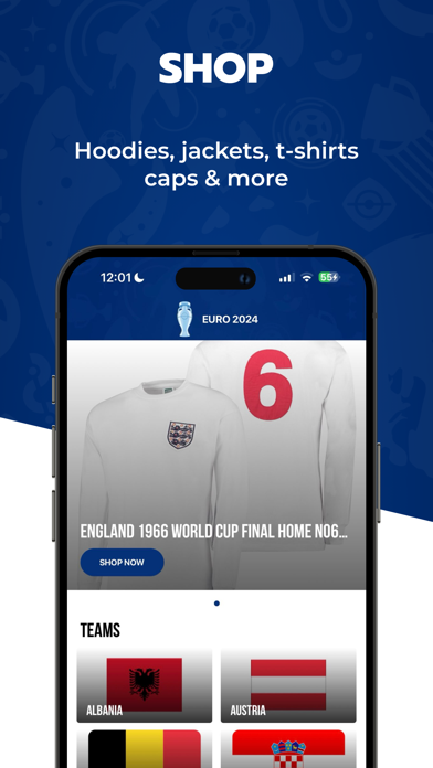 Fanzine Football - Euro 24 Screenshot