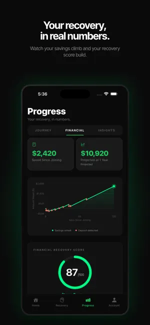 Stakeless: Gambling Recovery screenshot 4