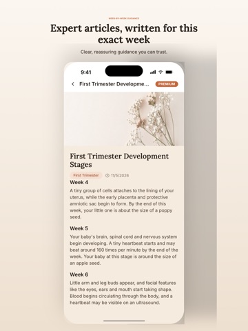 Everything Pregnancy iPad screenshot