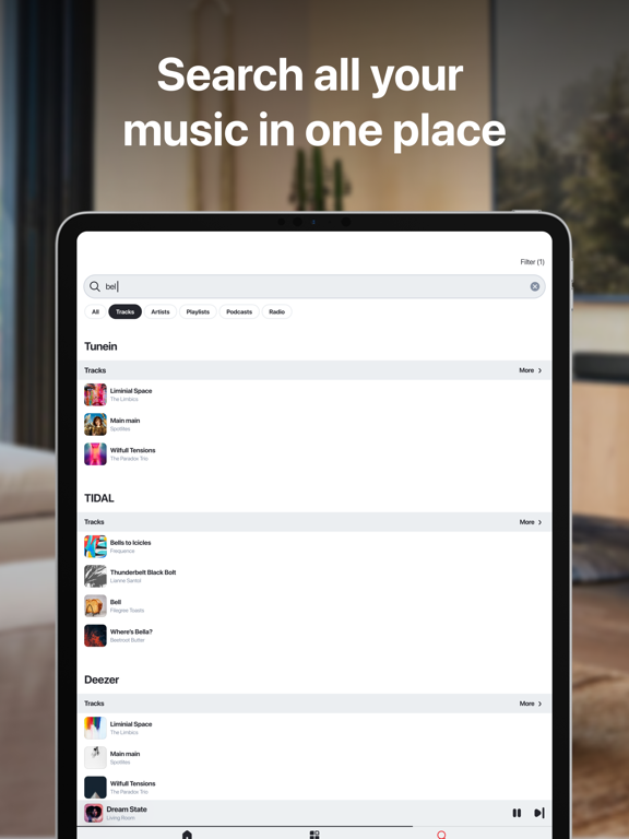 HEOS iPad screenshot 6 - Music app