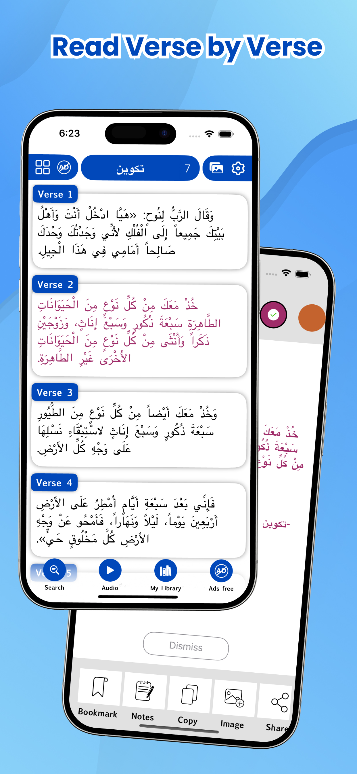 Arabic Bible