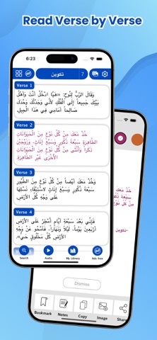 Arabic Bible iPhone screenshot