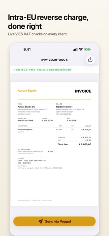 Pay Day: E-Invoice & Peppol Screenshot 4 of 5