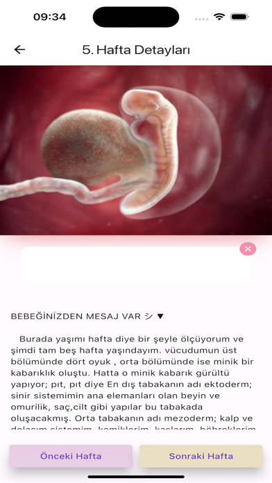 Pregnancy Tracker MYPregnancy Screenshot