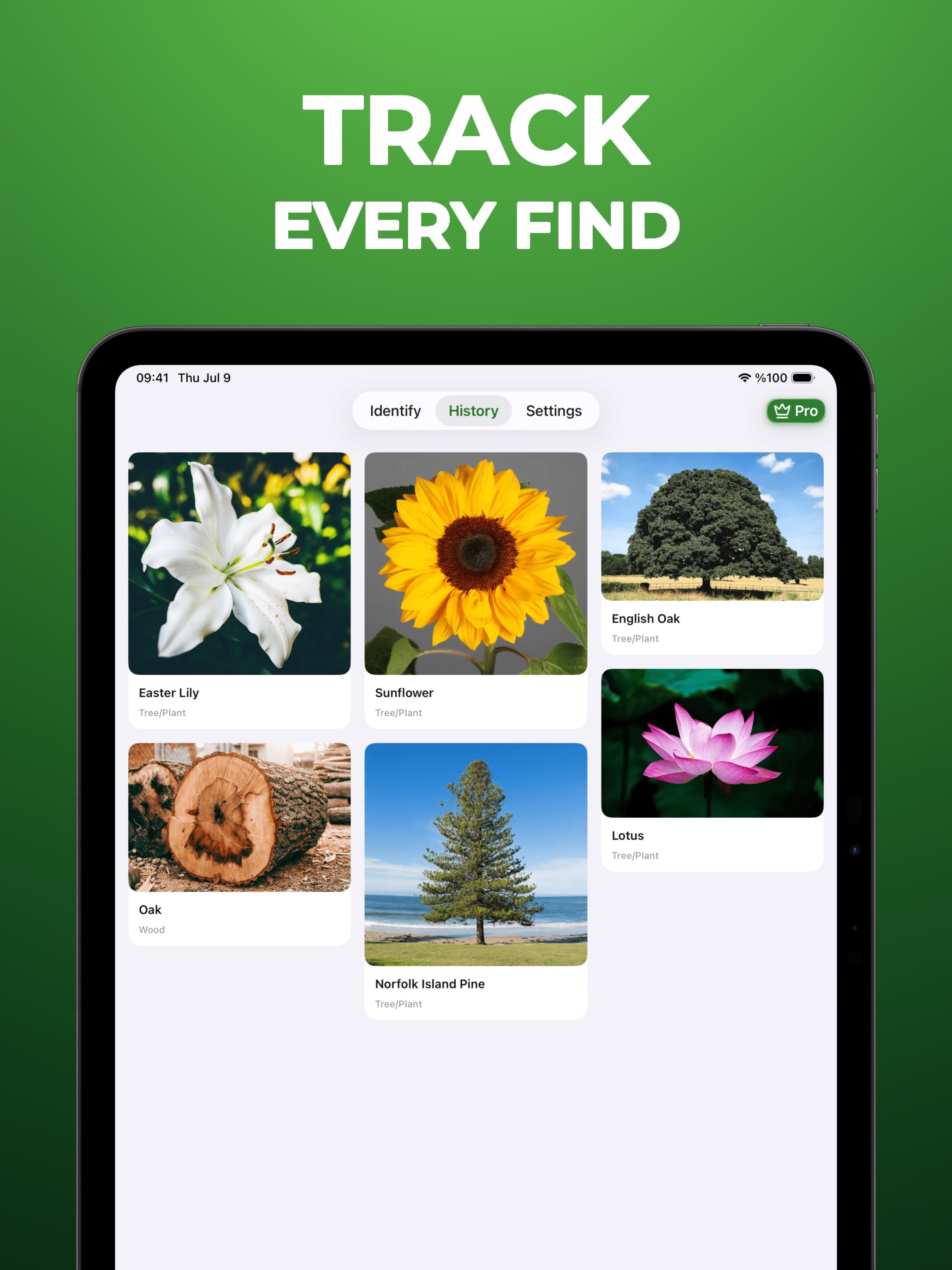 Tree Identifier - WoodBot screenshot 6
