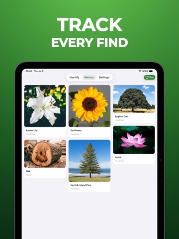 Tree Identifier - WoodBot iPad screenshot