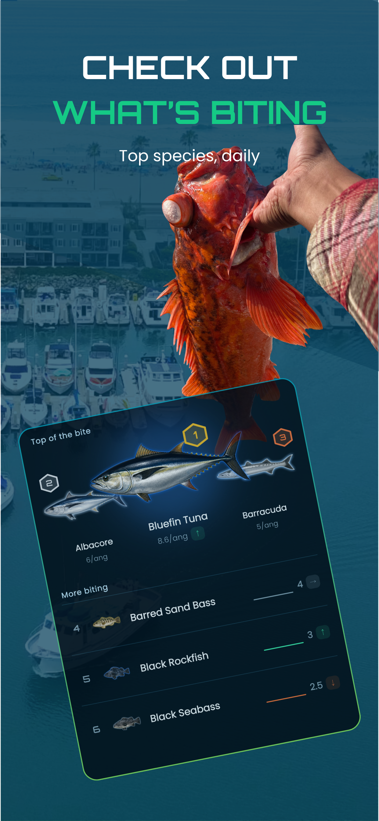 Fish City: Real Fish Counts screenshot 4