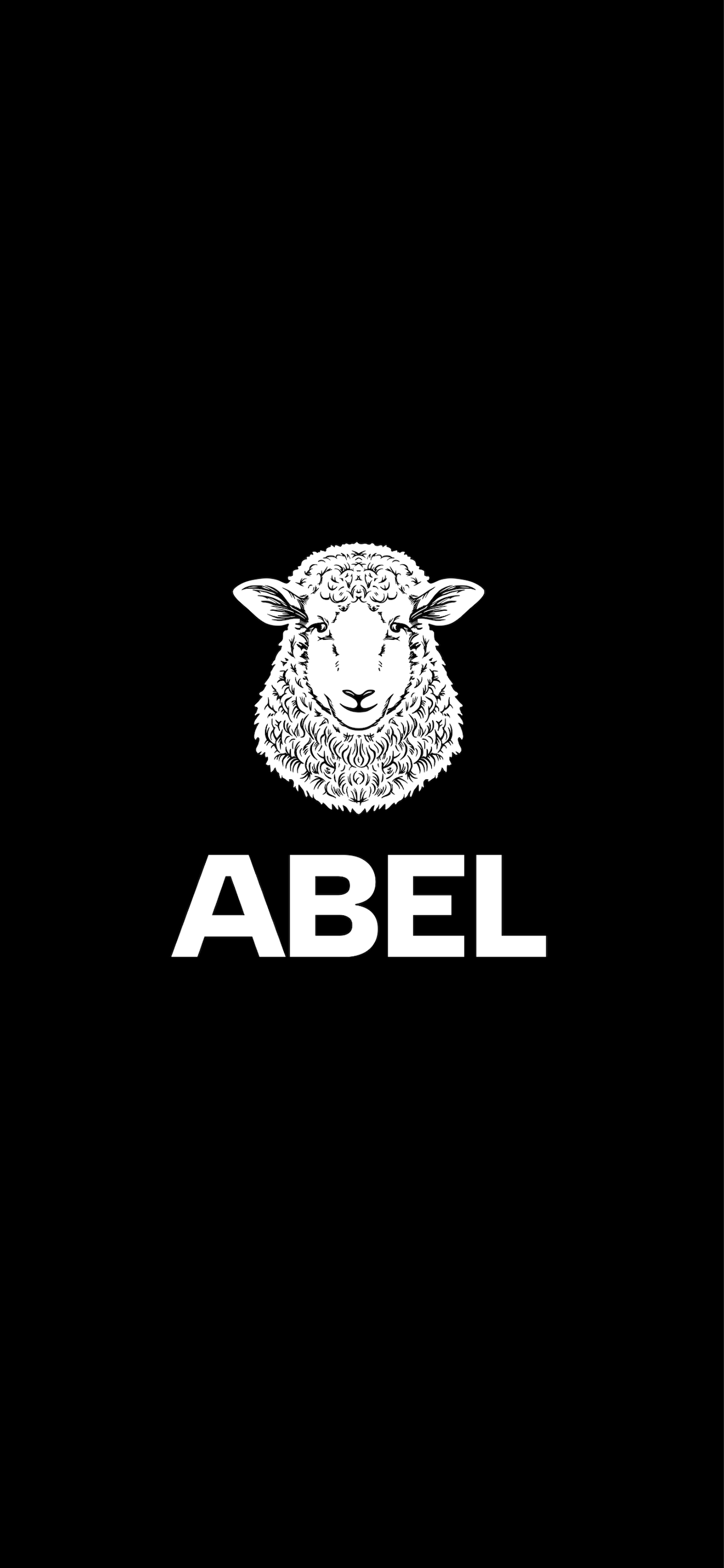 Abel Police screenshot 5