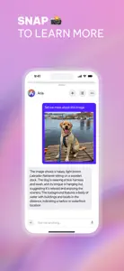 Opera: AI browser with VPN screenshot #2 for iPhone