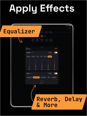 Voice Tune - Auto Recorder iPad screenshot