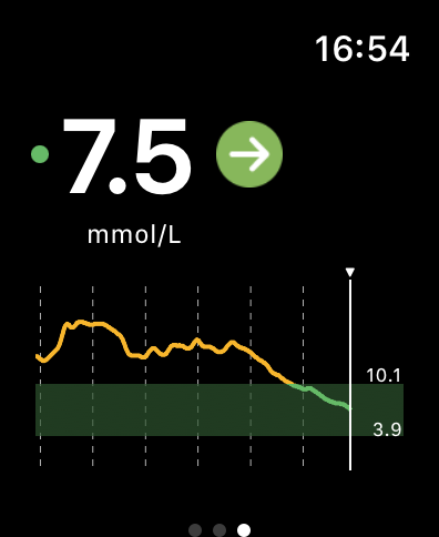 DiaExpert CGM 2