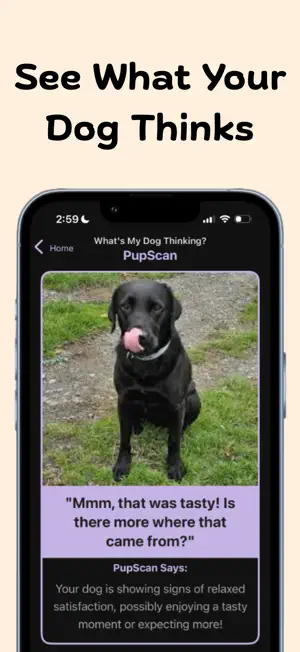 PupScan - Dog Translator screenshot 1