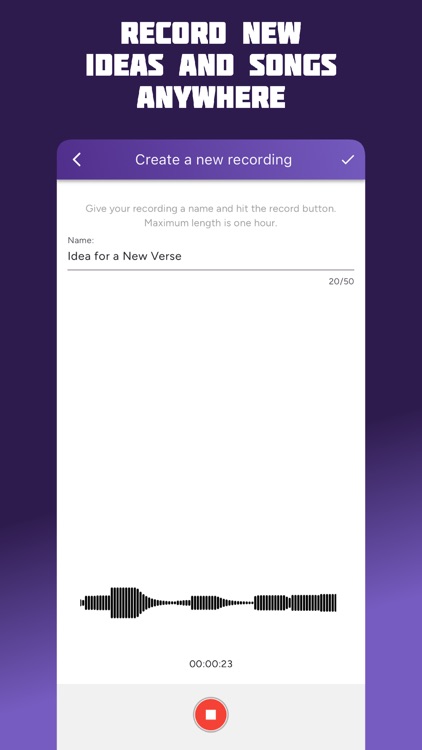 Reveller Music screenshot-4