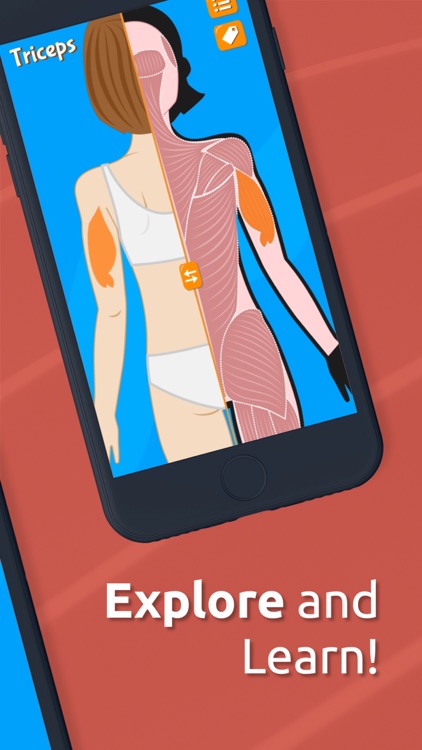 Anatomix - Human Body Systems screenshot-5