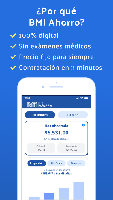 BMI Ahorro Costa Rica Screenshot