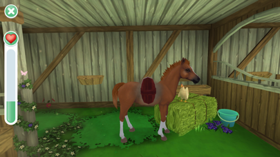 Star Stable: Horses Screenshot