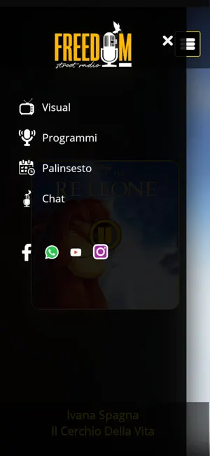 Well Radio screenshot 2