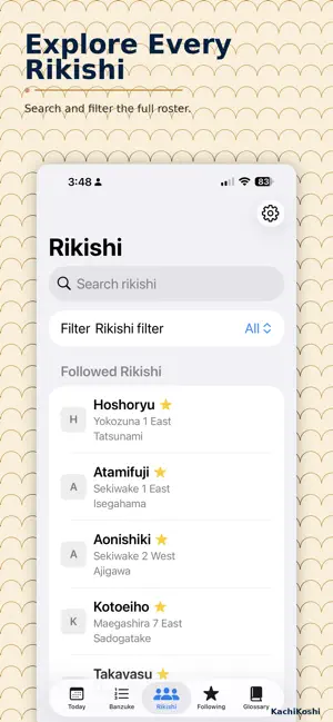 KachiKoshi screenshot 4