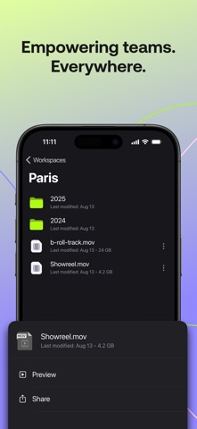 LucidLink screenshot