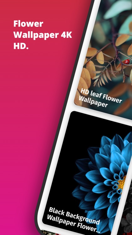 Flower Wallpapers 4K - HD