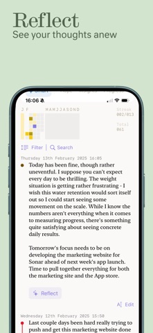Sonar: AI Journal & Insights iPhone screenshot